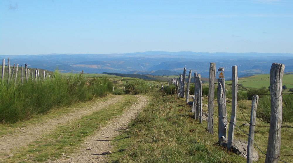 balades sur le plateau de l'Aubrac.