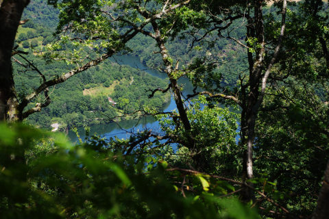 Lac de castelnau lassouts