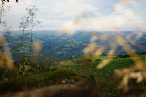 Vallée du lot