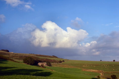 Plateau de l'Aubrac