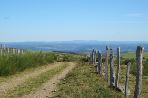 Balade en Aubrac